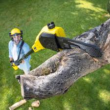 Best Soil Testing and Treatment  in Hawthorn Woods, IL