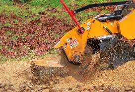 Best Landscape Design and Installation  in Hawthorn Woods, IL