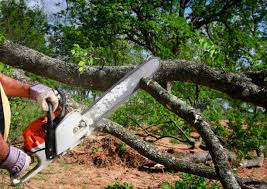 Best Pest Control for Lawns  in Hawthorn Woods, IL