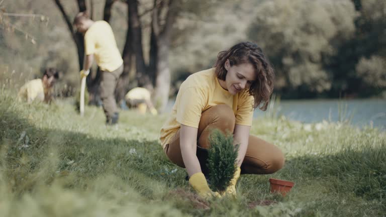 Organic Lawn Care Solutions in Hawthorn Woods, IL