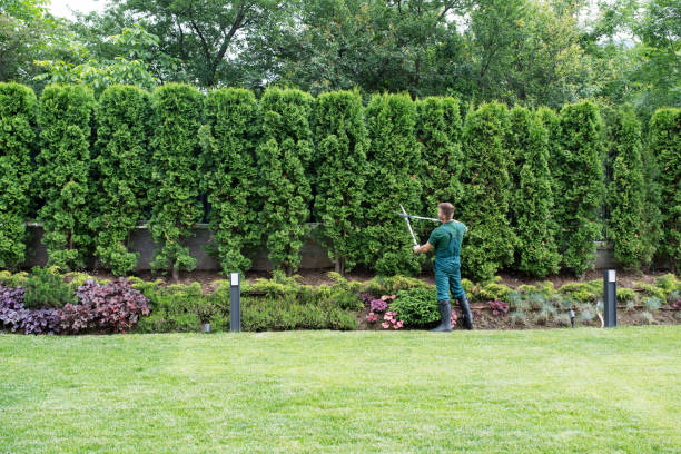 Artificial Turf Installation in Hawthorn Woods, IL