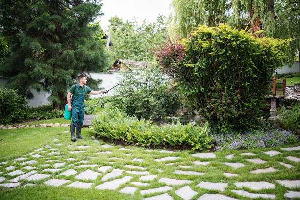 Best Tree Disease Treatment  in Hawthorn Woods, IL