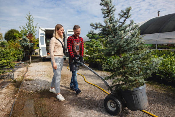 Best Root Management and Removal  in Hawthorn Woods, IL